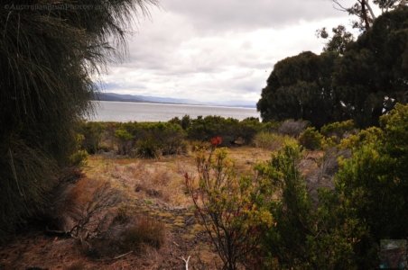 Fluted Cape Walk.048 12h04m10s2019 11 30
