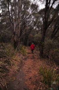 Fluted Cape Walk.064 12h14m30s2019 11 30
