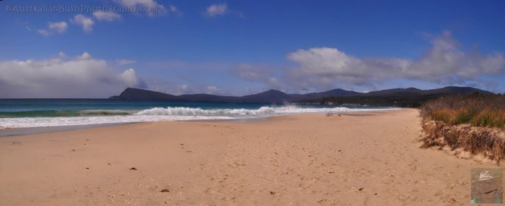 Fluted Cape and Adventure Bay from The Neck Beach Fluted Cape and Adventure Bay from The Neck Beach