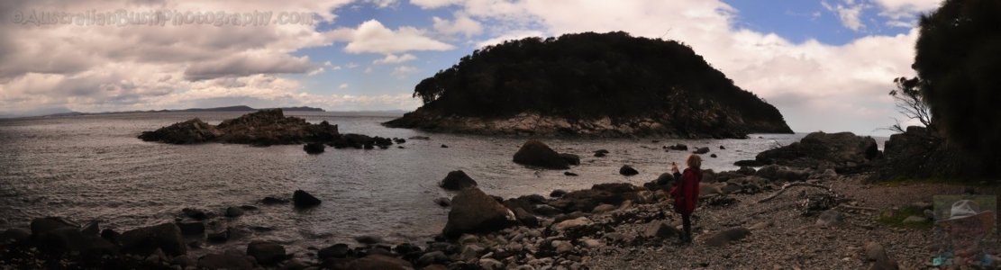 Grass Point and Penguin Island