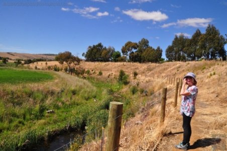 Hamilton.021 14h29m16s2019 12 10 Hamilton.021 14h29m16s2019 12 10