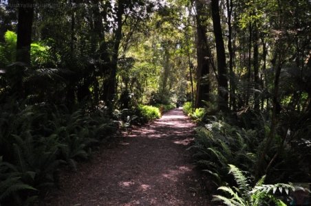 Hogarth Falls Strahan.004 11h03m17s2019 12 26 Hogarth Falls Strahan.004 11h03m17s2019 12 26