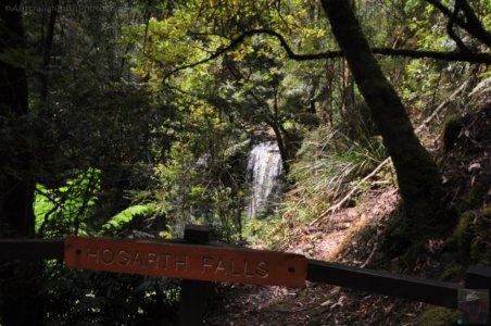 Hogarth Falls Strahan.011 11h19m47s2019 12 26 Hogarth Falls Strahan.011 11h19m47s2019 12 26