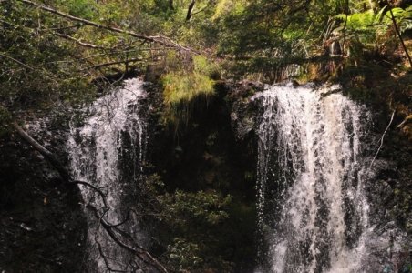 Hogarth Falls Strahan.015 11h21m59s2019 12 26 Hogarth Falls Strahan.015 11h21m59s2019 12 26