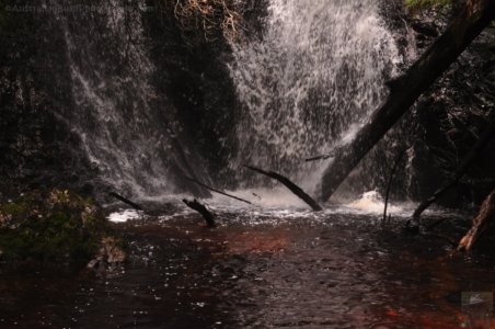 Hogarth Falls Strahan.017 11h22m09s2019 12 26 Hogarth Falls Strahan.017 11h22m09s2019 12 26