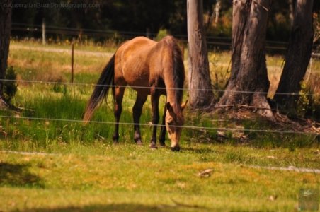 Strahan.025 10h29m51s2019 12 25 Strahan.025 10h29m51s2019 12 25