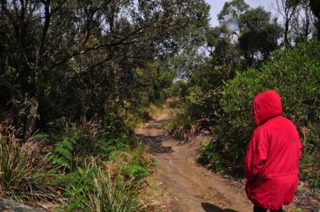 The Neck Bruny Island.002 14h17m05s2019 12 02 The Neck Bruny Island.002 14h17m05s2019 12 02