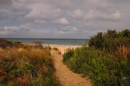 The Neck Bruny Island.003 14h17m35s2019 12 02 The Neck Bruny Island.003 14h17m35s2019 12 02