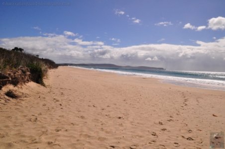 The Neck Bruny Island.011 08h58m13s2019 12 04 The Neck Bruny Island.011 08h58m13s2019 12 04