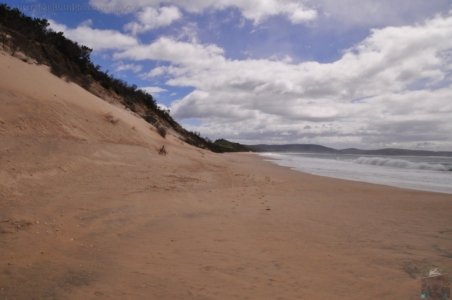 The Neck Bruny Island.021 09h27m52s2019 12 04 The Neck Bruny Island.021 09h27m52s2019 12 04