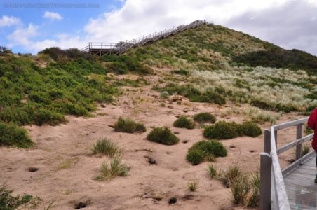 The Neck Bruny Island.043 10h02m10s2019 12 04 The Neck Bruny Island.043 10h02m10s2019 12 04