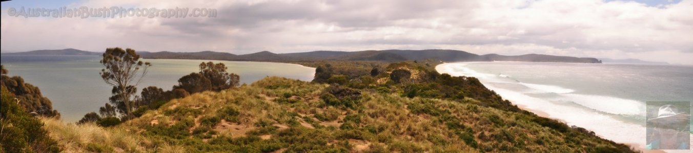 The Neck Looking North The Neck Looking North