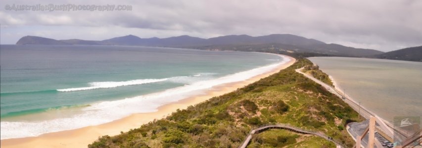 The Neck looking South The Neck looking South