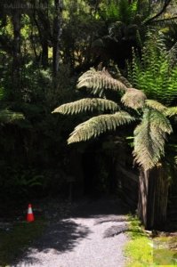 WCWR Queenstown to Dubbil Barril.093 11h36m56s2019 12 19 WCWR Queenstown to Dubbil Barril.093 11h36m56s2019 12 19