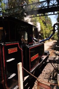 WCWR Queenstown to Dubbil Barril.098 11h43m04s2019 12 19 WCWR Queenstown to Dubbil Barril.098 11h43m04s2019 12 19