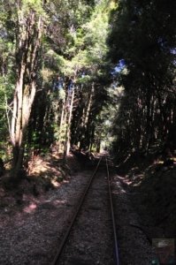 WCWR Strahan.089 16h04m32s2019 12 24
