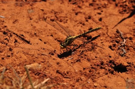 Bronte Lagoon.015 12h27m18s2020 01 02 Bronte Lagoon.015 12h27m18s2020 01 02