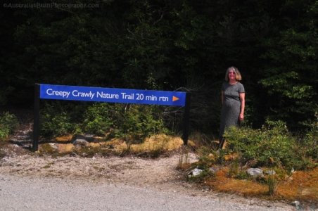 Creepy Cawly Trail.001 10h31m01s2020 01 15