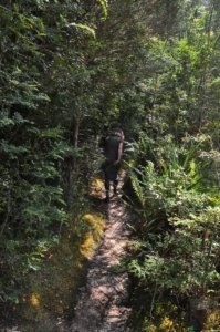 Creepy Cawly Trail.002 10h31m14s2020 01 15
