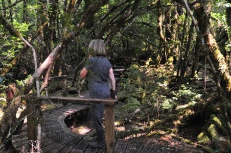 Creepy Cawly Trail.009 10h34m37s2020 01 15