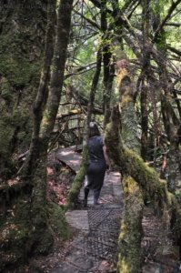 Creepy Cawly Trail.011 10h36m20s2020 01 15