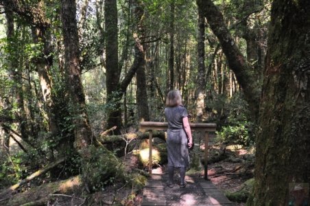 Creepy Cawly Trail.012 10h37m29s2020 01 15