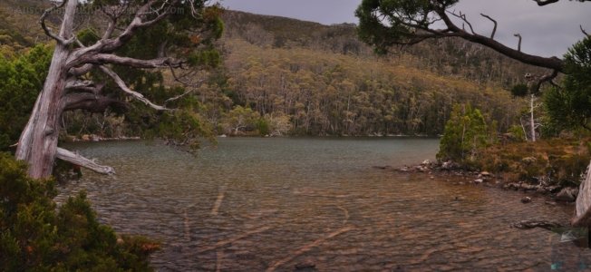 Lake Dobson1