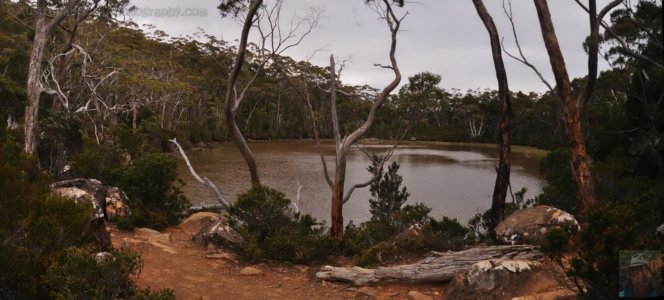 Lake Dobson3