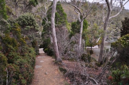 Lake Dobson.009 14h45m38s2020 01 22