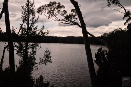 Lake Dobson.011 14h48m37s2020 01 22