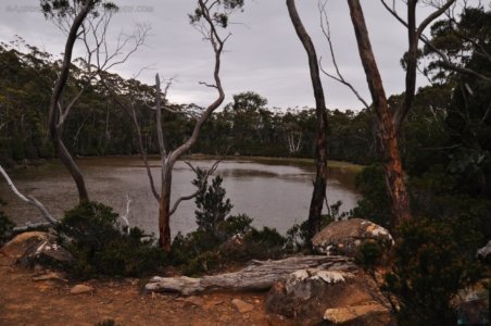 Lake Dobson.030 15h00m18s2020 01 22