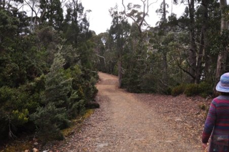 Lake Dobson.031 15h01m26s2020 01 22