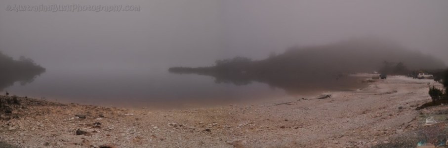 Misty Morning Teds Beach
