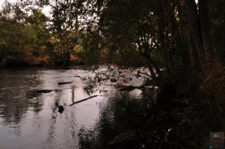 Mount Field Campground and Surrounds.001 15h36m21s2020 01 20