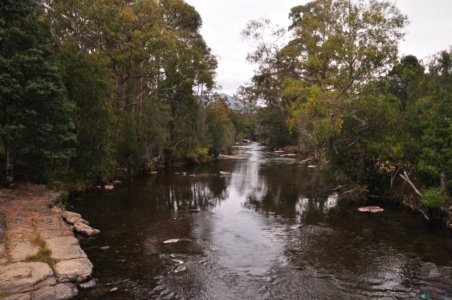 Mount Field Campground and Surrounds.005 15h45m03s2020 01 20