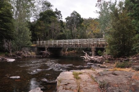 Mount Field Campground and Surrounds.006 15h45m52s2020 01 20