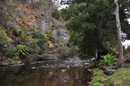Mount Field Campground and Surrounds.015 16h00m42s2020 01 20