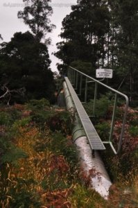 Mount Field Campground and Surrounds.017 16h01m54s2020 01 20