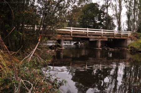 Mount Field Campground and Surrounds.019 16h03m54s2020 01 20