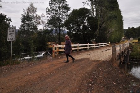 Mount Field Campground and Surrounds.020 16h04m36s2020 01 20