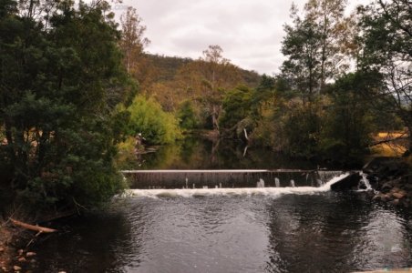 Mount Field Campground and Surrounds.021 16h04m55s2020 01 20