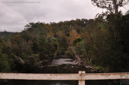 Mount Field Campground and Surrounds.022 16h05m09s2020 01 20