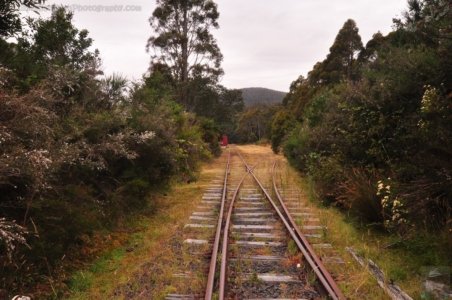 Mount Field Campground and Surrounds.028 16h18m46s2020 01 20