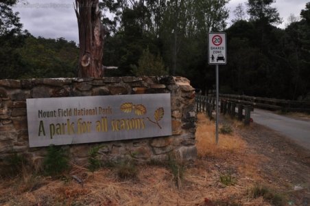 Mount Field Campground and Surrounds.032 16h27m50s2020 01 20
