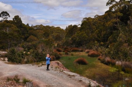 Scotts Peak Dam.034 14h56m18s2020 01 17