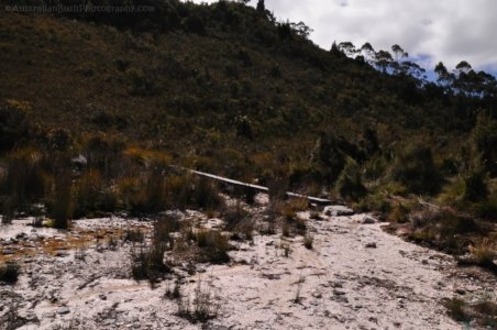 Teds Beach Lake Pedder.016 14h59m50s2020 01 12