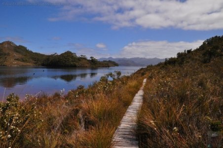 Teds Beach Lake Pedder.018 15h00m53s2020 01 12