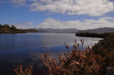 Teds Beach Lake Pedder.020 15h02m57s2020 01 12