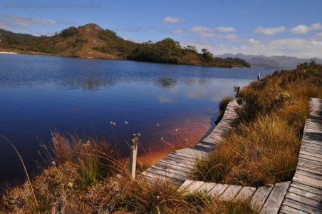 Teds Beach Lake Pedder.031 15h09m37s2020 01 12