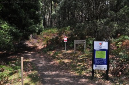 Three Falls Walk Mount Field.001 12h10m24s2020 01 21 Three Falls Walk Mount Field.001 12h10m24s2020 01 21